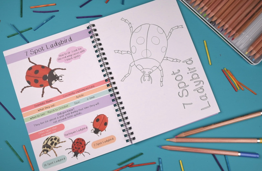 Amazing British Bugs Fact and Activity Book