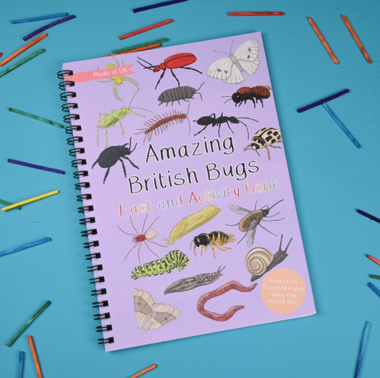 Amazing British Bugs Fact and Activity Book