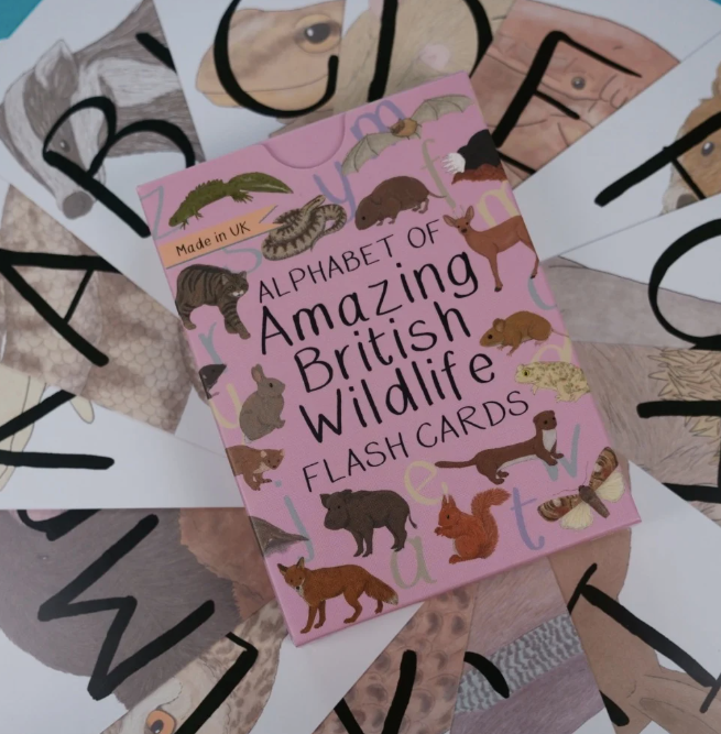 Alphabet of Amazing British Wildlife Flash Cards