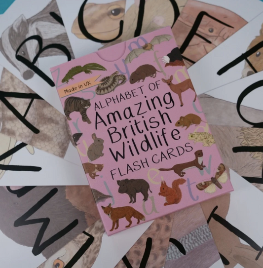 Alphabet of Amazing British Wildlife Flash Cards