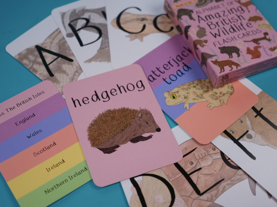 Alphabet of Amazing British Wildlife Flash Cards