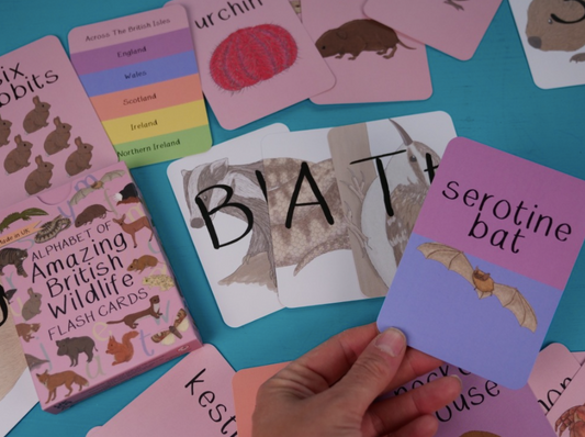 Alphabet of Amazing British Wildlife Flash Cards