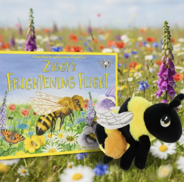 Ziggy - Bee Teddy