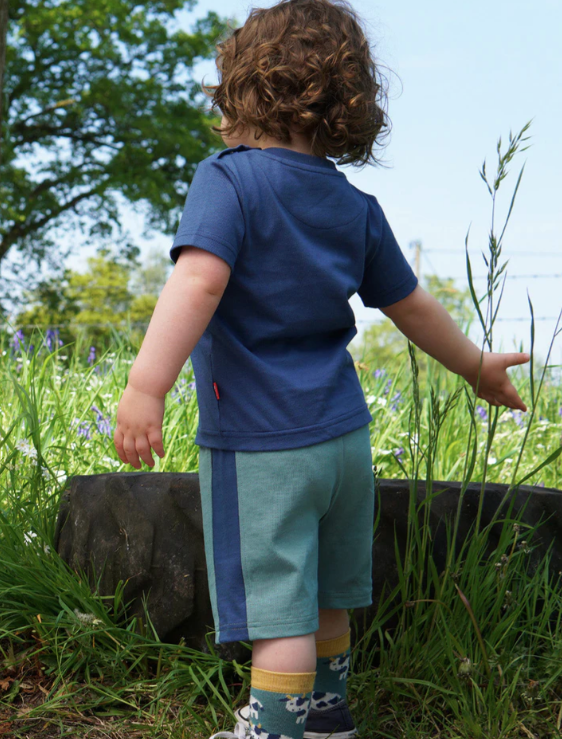 Aloe Corfe Shorts