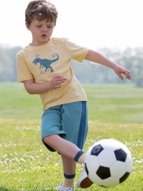 Aloe Corfe Shorts
