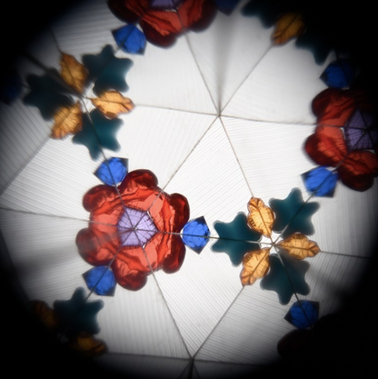 Kaleidoscope - Colourful Creatures