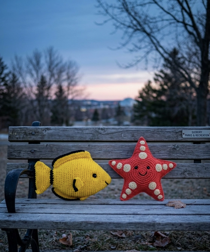 Starfish Rattle