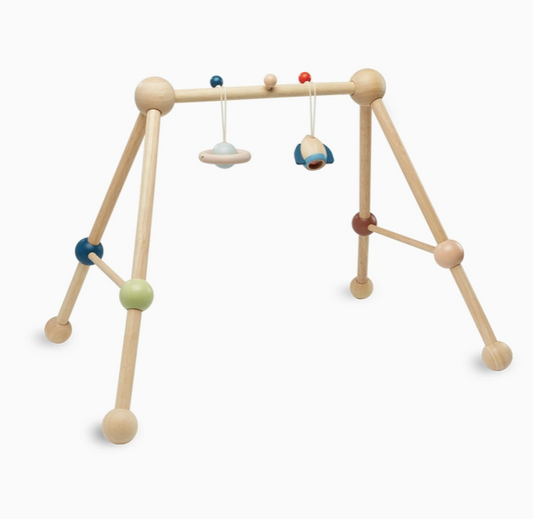 Play Gym