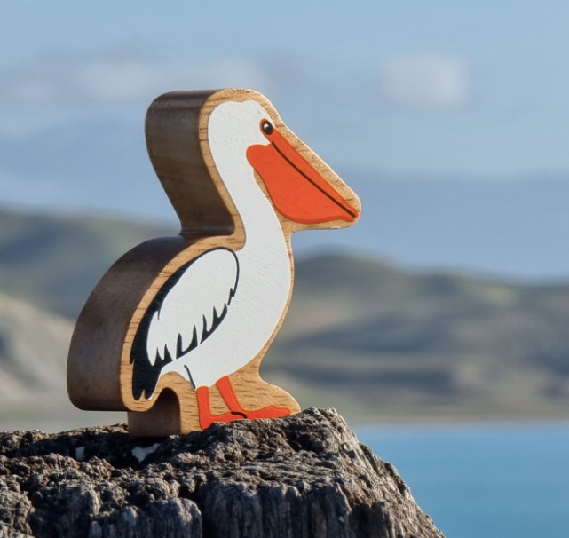 White and Orange Pelican