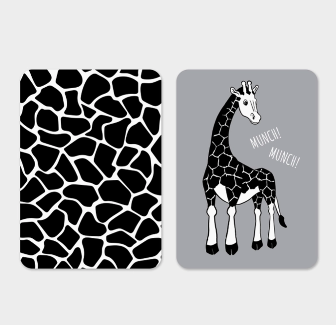 Newborn Sensory Cards