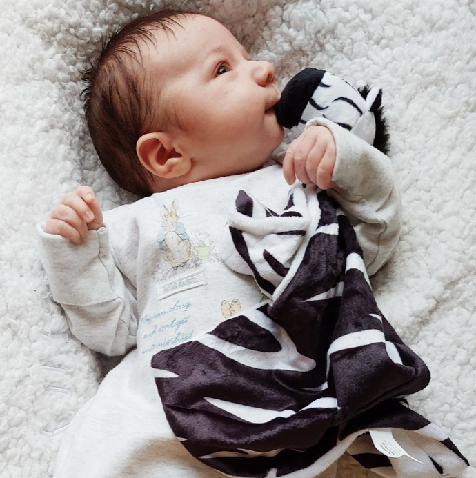 Sensory Zebra Comforter