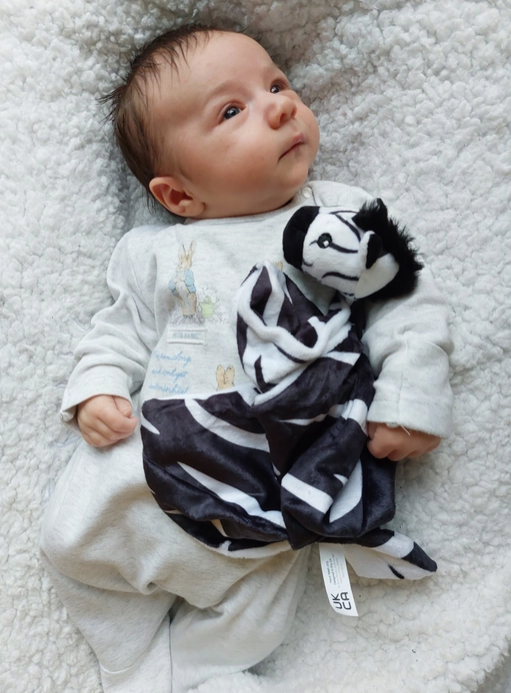 Sensory Zebra Comforter