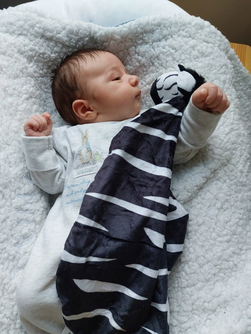 Sensory Zebra Comforter