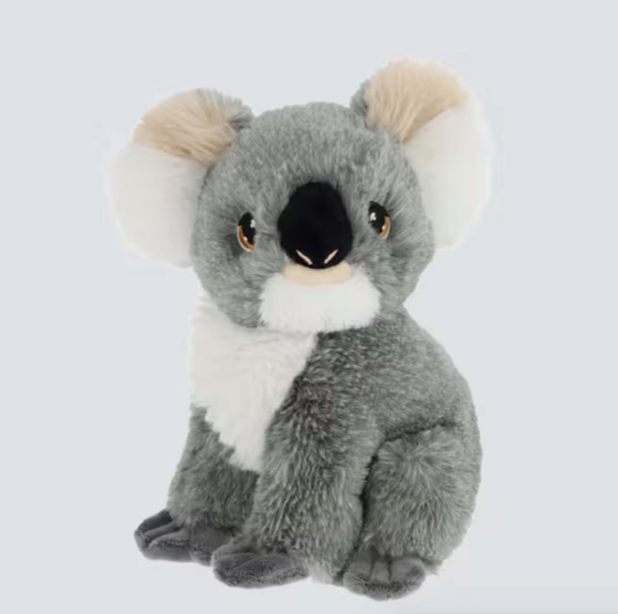 Sunny - Koala Teddy