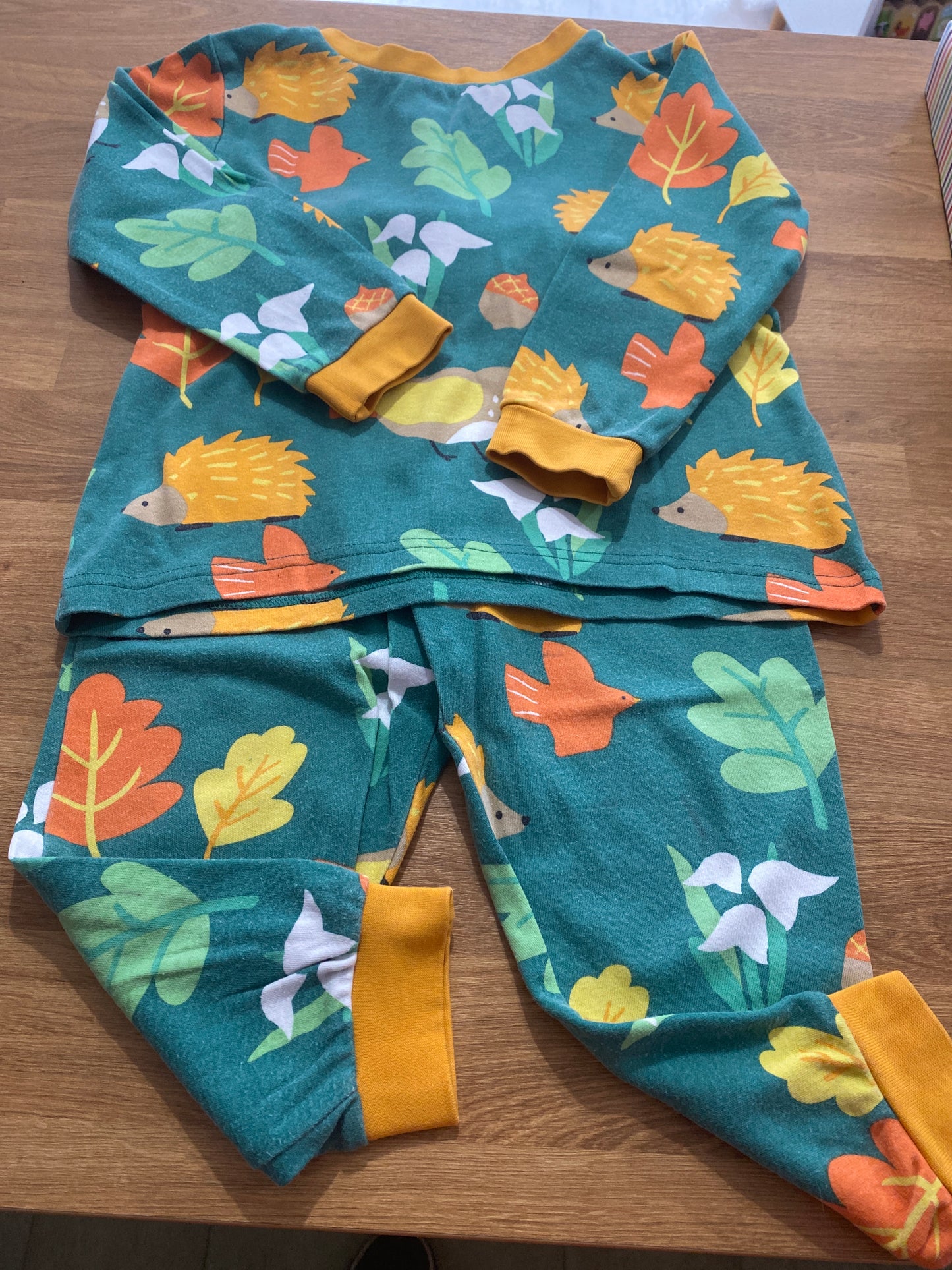 Toby Tiger Autumn print Pyjamas 3-4years
